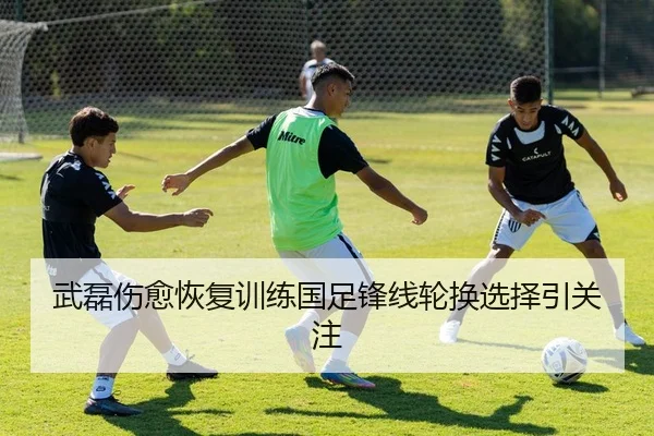 武磊伤愈恢复训练国足锋线轮换选择引关注（bonesports）